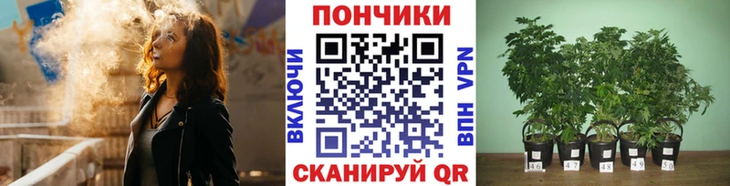 Бошки Шишки MAZAR  mega ТОР  Малоархангельск 